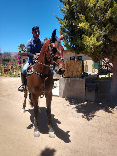 agencia de viajes Valle de Guadalupe