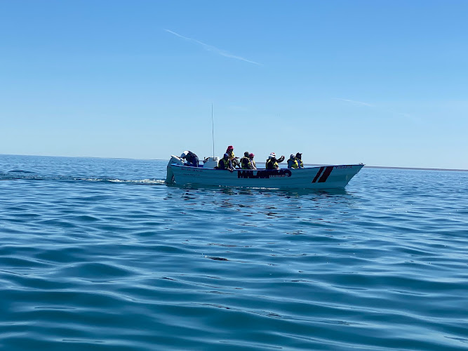 agencia de viajes Guerrero Negro