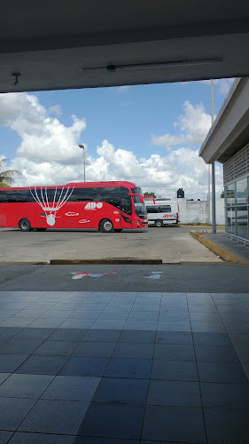 agencia de viajes Tizimín