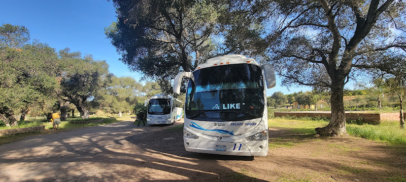 agencia de viajes Tijuana